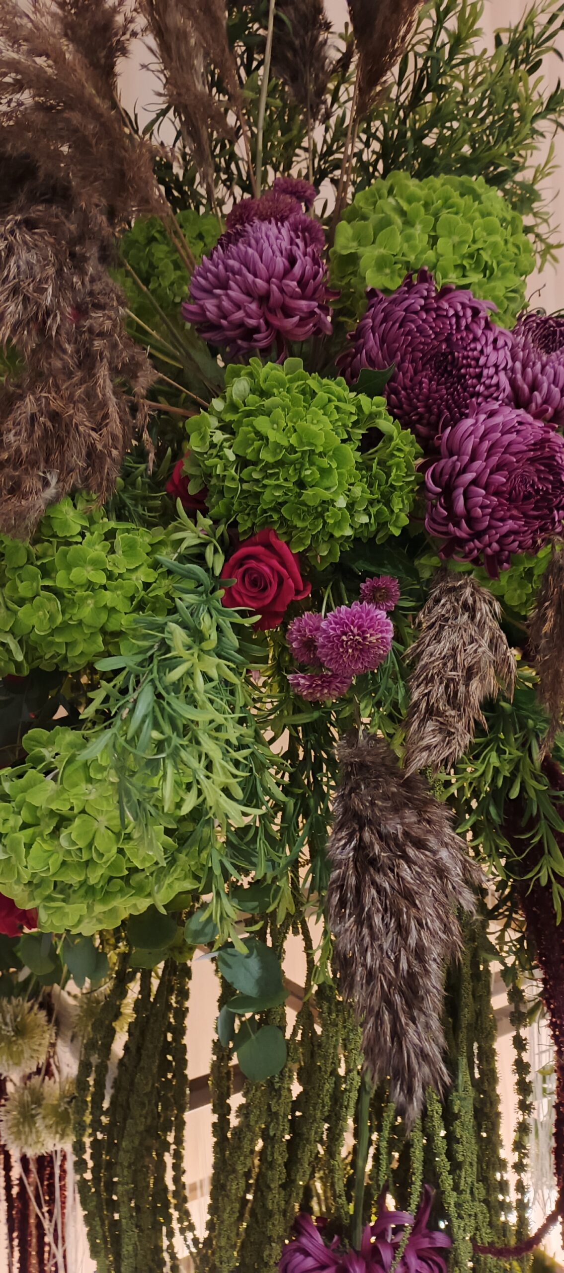 0 1440x3248 0 0 {} 0 24#