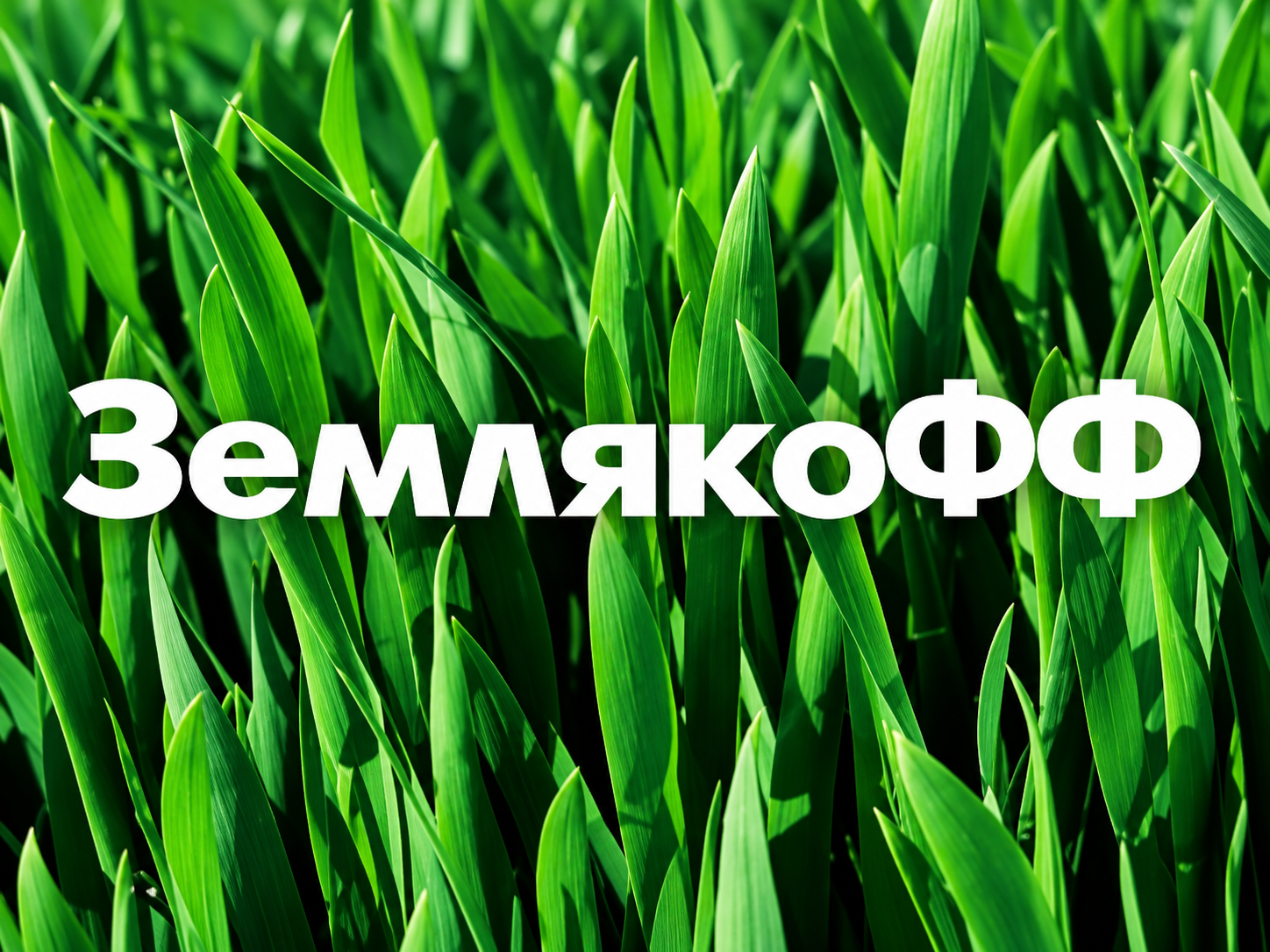 ЗемлякоФФ : 